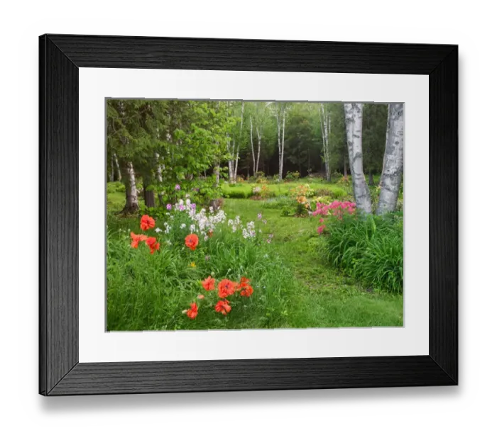 Framed Print : Canada, New Brunswick, Kingston, Shampers Bluff. Scenic of forest and garden. Credit as Framed Print : Canada, New Brunswick, Kingston, Shampers Bluff. Scenic of forest and garden. Credit as