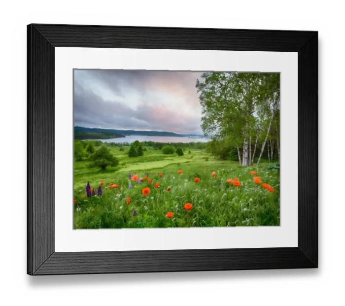 Framed Print : Canada, New Brunswick, Kingston, Shampers Bluff. Landscape of meadow and St. John River