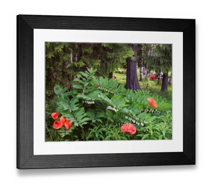 Framed Print : Canada, New Brunswick, Kingston, Shampers Bluff