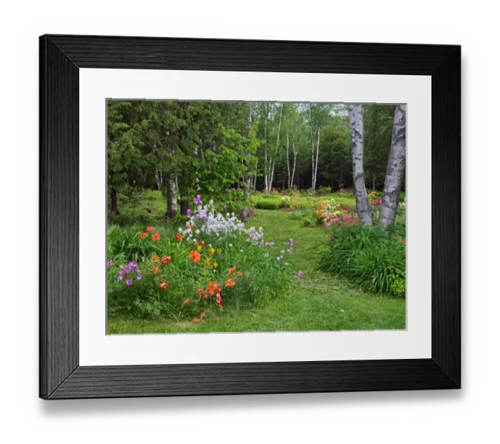 Framed Print : Canada, New Brunswick, Kingston, Shampers Bluff. Scenic of forest and garden. Credit as