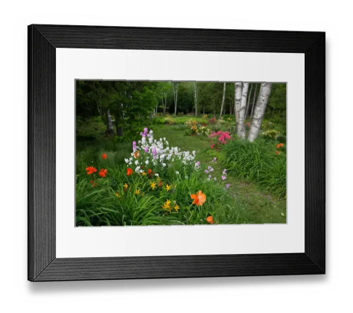 Framed Print : Canada, New Brunswick, Shampers Bluff. Garden scenic