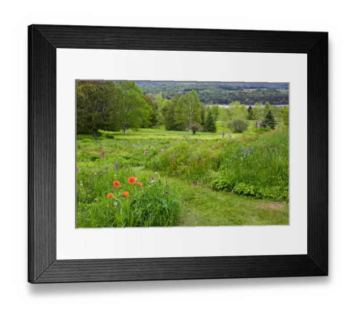 Framed Print : Canada, New Brunswick, Shampers Bluff. Landscape of meadow and St. John River. Credit as Framed Print : Canada, New Brunswick, Shampers Bluff. Landscape of meadow and St. John River. Credit as