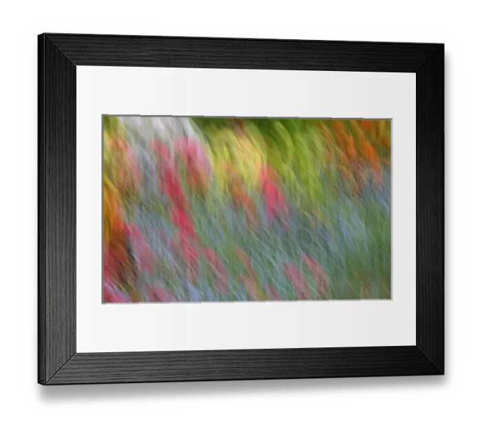 Framed Print : Canada, Shampers Bluff. Abstract blur of garden colors Framed Print : Canada, Shampers Bluff. Abstract blur of garden colors