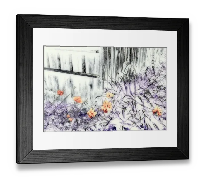 Framed Print : Canada, Shampers Bluff. Abstract of wooden building and garden