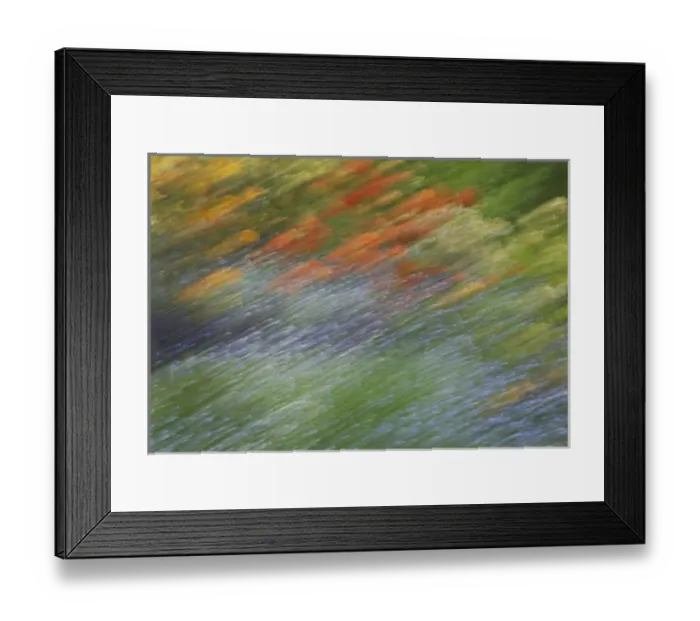 Framed Print : Canada, Shampers Bluff. Abstract blur of garden colors Framed Print : Canada, Shampers Bluff. Abstract blur of garden colors