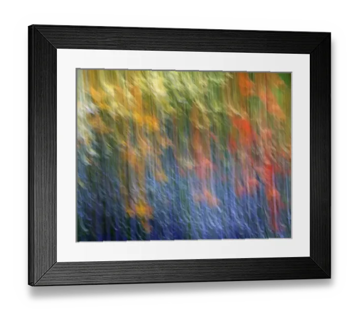 Framed Print : Canada, Shampers Bluff. Abstract blur of garden colors