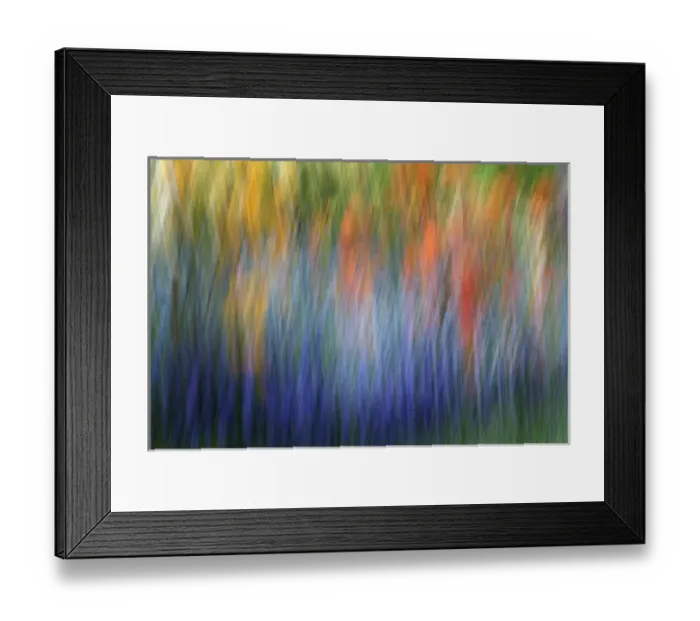 Framed Print : Canada, Shampers Bluff. Abstract blur of garden colors Framed Print : Canada, Shampers Bluff. Abstract blur of garden colors