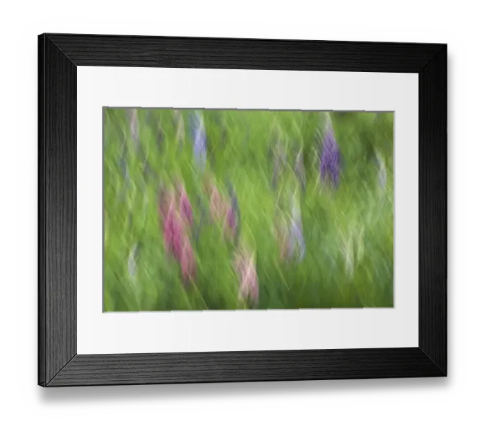 Framed Print : Canada, Shampers Bluff. Abstract blur of garden colors Framed Print : Canada, Shampers Bluff. Abstract blur of garden colors