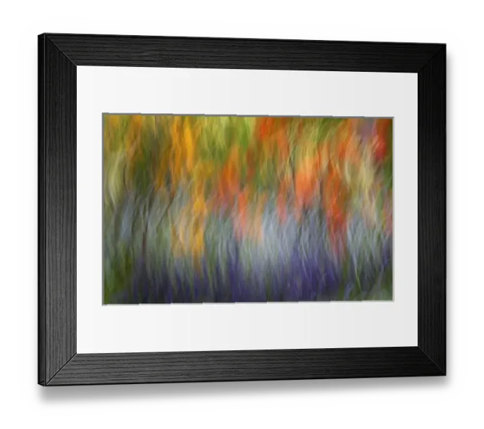 Framed Print : Canada, Shampers Bluff. Abstract blur of garden colors Framed Print : Canada, Shampers Bluff. Abstract blur of garden colors