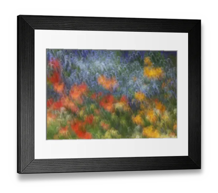 Framed Print : Canada, Shampers Bluff. Abstract blur of garden colors Framed Print : Canada, Shampers Bluff. Abstract blur of garden colors