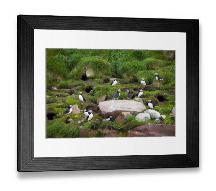 Framed Print : Avalon Peninsula