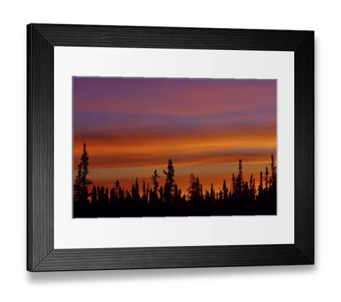 Framed Print : Canada, Northwest Territories, Ft. Resolution. Sunrise over boreal forest. Credit as Framed Print : Canada, Northwest Territories, Ft. Resolution. Sunrise over boreal forest. Credit as