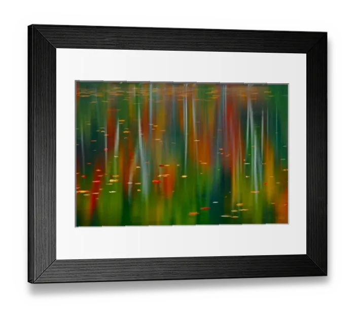 Framed Print : Canada, Ontario. Autumn-colored trees reflected in Horseshoe Lake