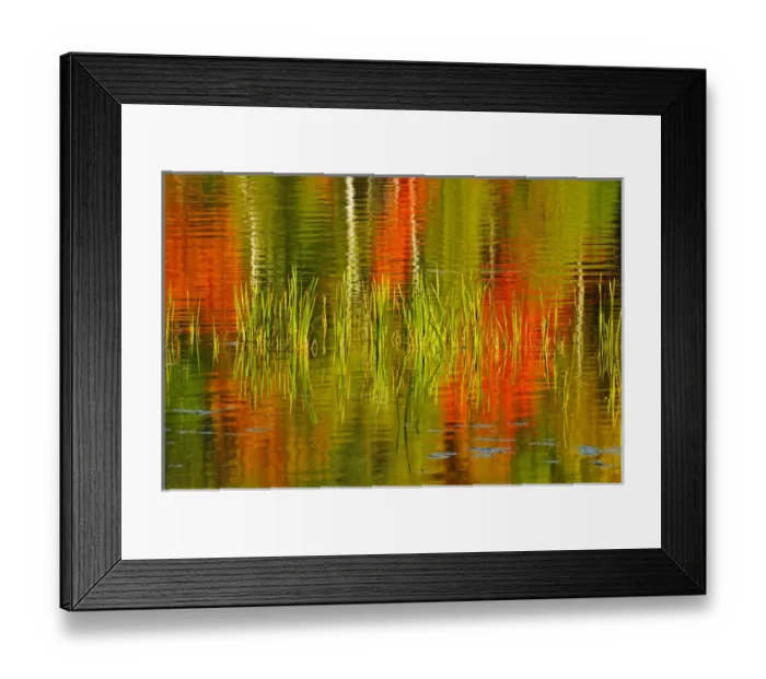 Framed Print : Canada, Ontario, Baysville. Cattails and autumn-colored trees reflected in lake. Credit as Framed Print : Canada, Ontario, Baysville. Cattails and autumn-colored trees reflected in lake. Credit as