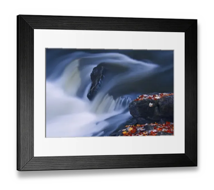 Framed Print : Canada, Ontario, Emsdale. Maple leaves on rocks next to Magnetewan River. Credit as Framed Print : Canada, Ontario, Emsdale. Maple leaves on rocks next to Magnetewan River. Credit as