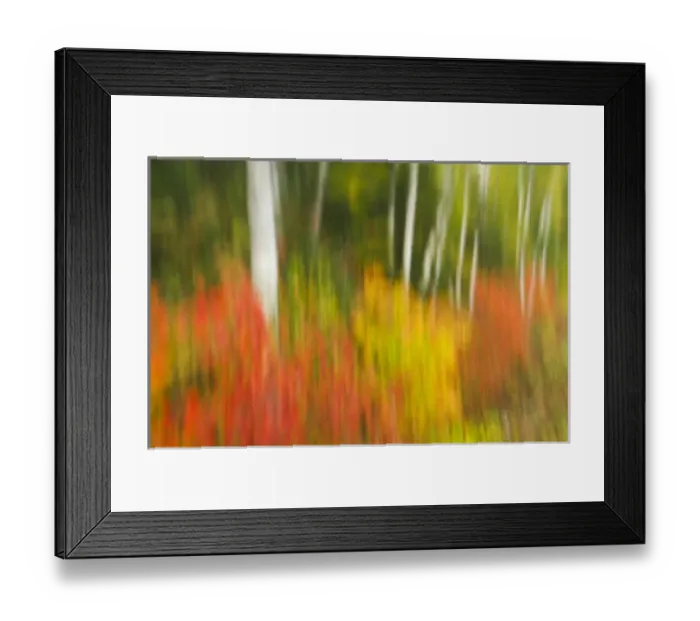 Framed Print : Canada, Ontario, Algonquin Provincial Park. Abstract of autumn scenic. Credit as