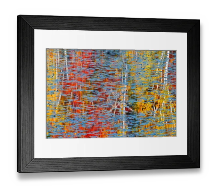 Framed Print : Canada, Ontario, Minden. Autumn-colored tree reflect in pond of water lilies. Credit as