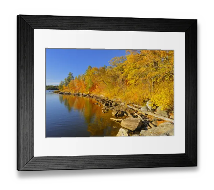 Framed Print : Canada, Ontario, Nestor Falls. Autumn on shore of Lake of the Woods Framed Print : Canada, Ontario, Nestor Falls. Autumn on shore of Lake of the Woods