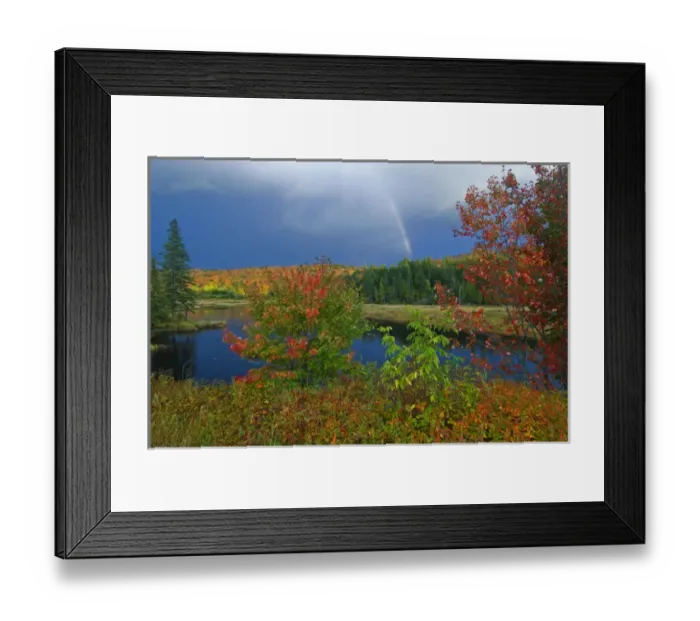 Framed Print : Canada, Ontario, Oxtongue Lake. Rainbow and maple trees in autumn color. Credit as Framed Print : Canada, Ontario, Oxtongue Lake. Rainbow and maple trees in autumn color. Credit as