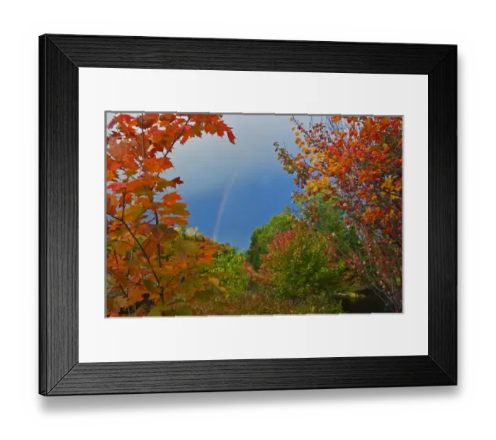 Framed Print : Canada, Ontario, Oxtongue Lake. Rainbow and maple trees in autumn color. Credit as Framed Print : Canada, Ontario, Oxtongue Lake. Rainbow and maple trees in autumn color. Credit as