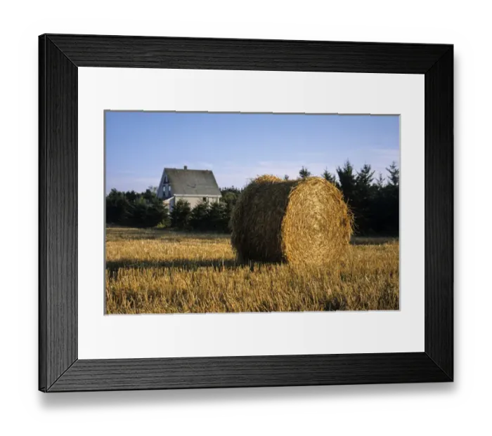 Framed Print : Canada, Prince Edward Island, Hay harvest near Cavendish