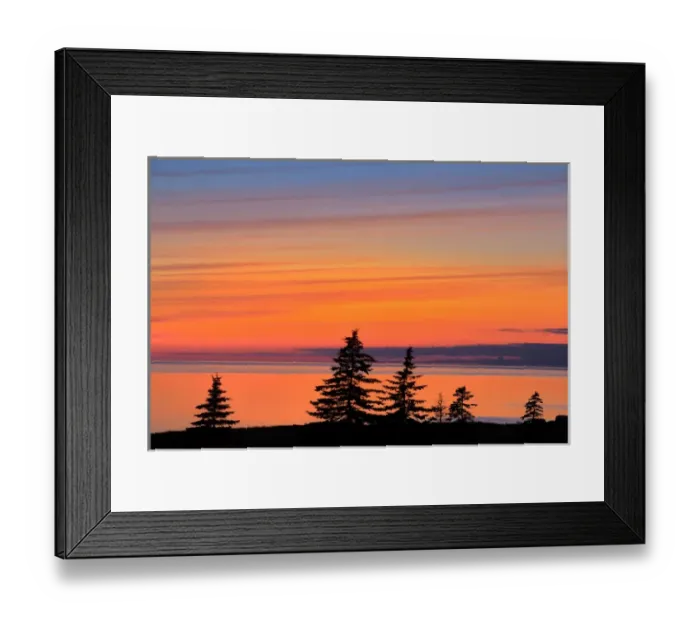 Framed Print : Canada, Gulf of St. Lawrence, West Cape. Trees silhouetted at dusk on Prince Edward Island