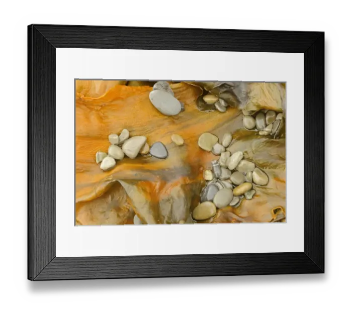 Framed Print : Canada, Quebec, Forillon National Park. Pebbles on seaweed