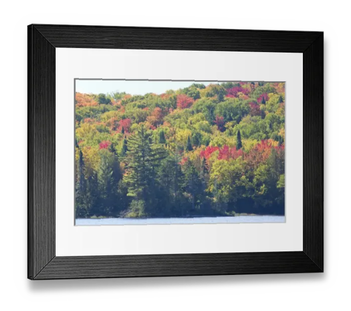 Framed Print : Canada, Quebec, Mount Tremblant National Park. Fall colors along Lake Monroe. Credit as Framed Print : Canada, Quebec, Mount Tremblant National Park. Fall colors along Lake Monroe. Credit as