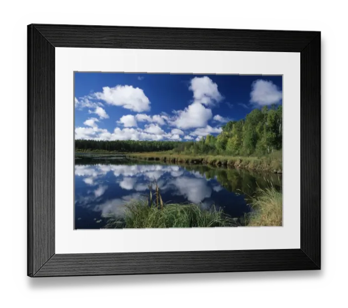 Framed Print : Canada, Saskatchewan, View of wet area in Prince Albert National Park Framed Print : Canada, Saskatchewan, View of wet area in Prince Albert National Park