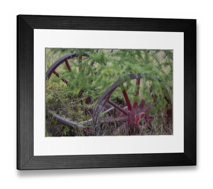 Framed Print : Canada, Yukon Territory. Old wagon wheels in grass Framed Print : Canada, Yukon Territory. Old wagon wheels in grass