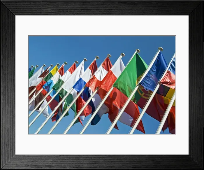Framed Print : International Flags Framed Print : International Flags