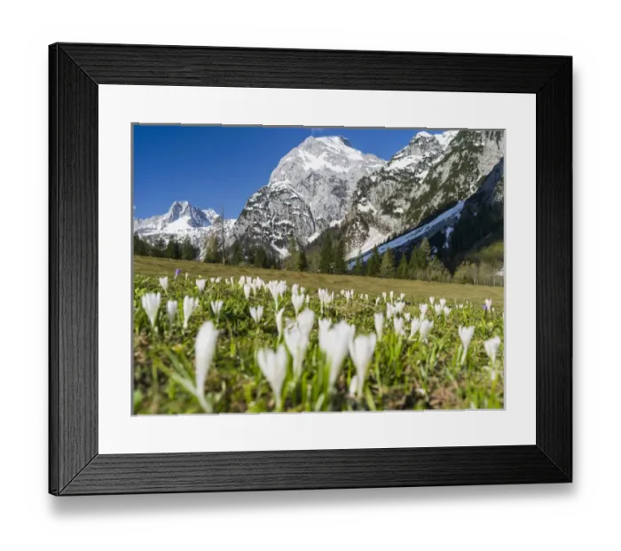 Framed Print : The Karwendel Mountain Range near Gramai in valley Falzthurntal during spring close Framed Print : The Karwendel Mountain Range near Gramai in valley Falzthurntal during spring close