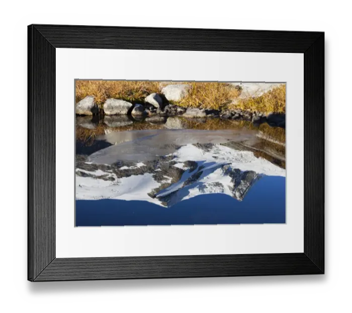 Framed Print : reflection of Mount Hoher Zaun and Mount Schwarze Want in a pond in late fall, Hohe