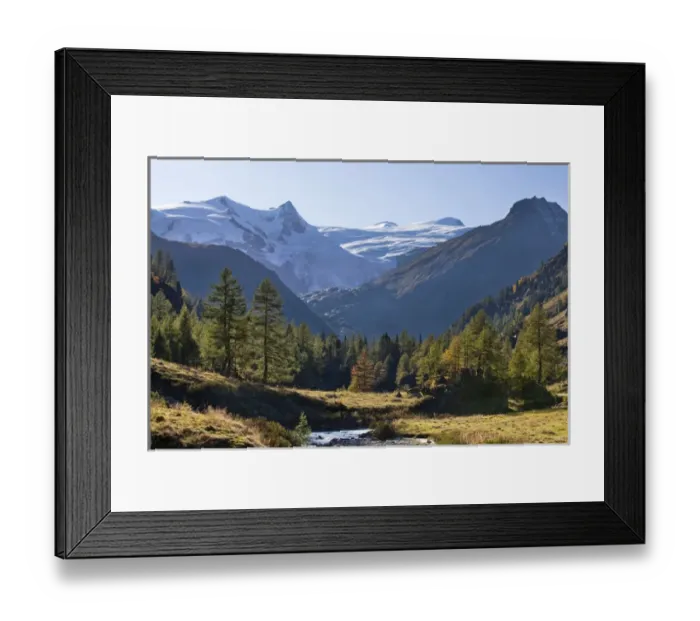 Framed Print : The valley Innergschloess with european larch (larix decidua) colored in fall in the foreground Framed Print : The valley Innergschloess with european larch (larix decidua) colored in fall in the foreground