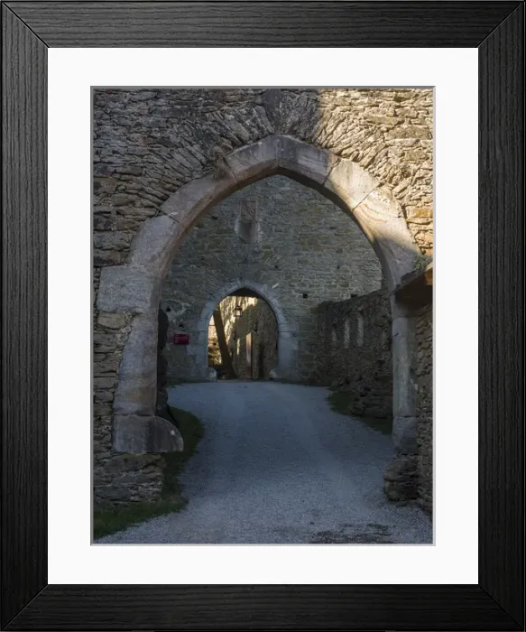 Framed Print : The castle ruin Aggstein high above the Danube in the Wachau. The Wachau is a famous vineyard