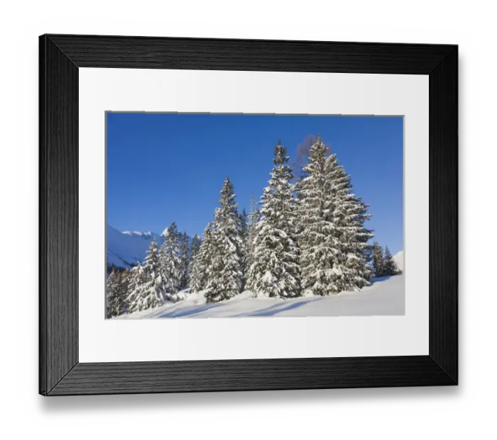 Framed Print : Valley Gaistal with snow during deep winter in Tyrol, Austria. Mountain forest with snowed in trees Framed Print : Valley Gaistal with snow during deep winter in Tyrol, Austria. Mountain forest with snowed in trees