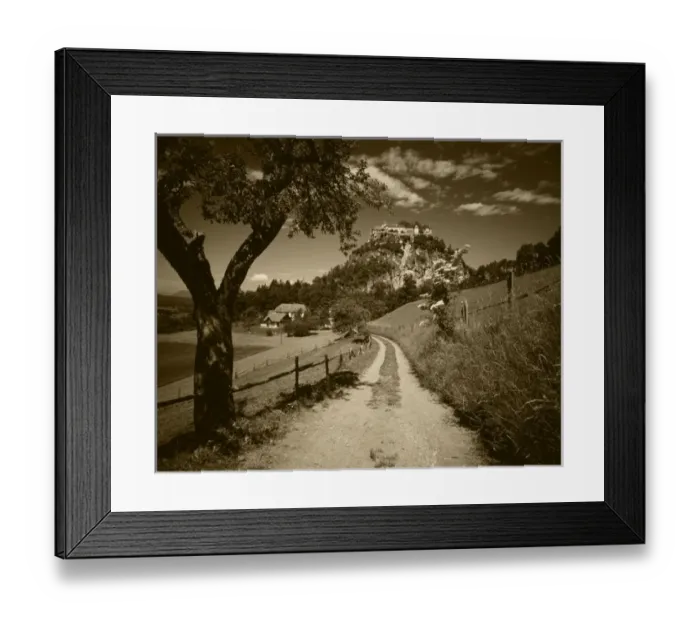 Framed Print : Austria, Tyrol, Reutte, View of dirt road through field Framed Print : Austria, Tyrol, Reutte, View of dirt road through field