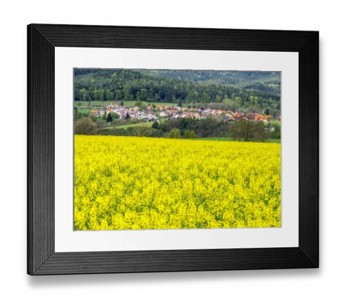 Framed Print : Europe, Czech Republic. Canola field with small village in the background Framed Print : Europe, Czech Republic. Canola field with small village in the background