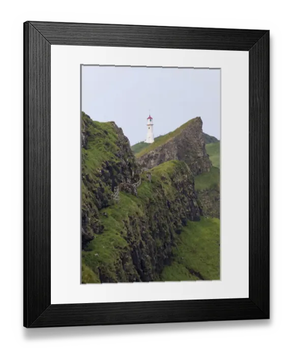 Framed Print : The lighthouse on Mykinesholmur. The island Mykines, part of the Faroe Islands in Framed Print : The lighthouse on Mykinesholmur. The island Mykines, part of the Faroe Islands in