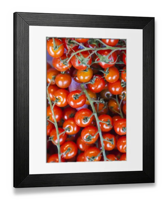 Framed Print : Denmark, Zealand, Copenhagen, Torvehallerne KPH, new outdoor food market, tomatoes Framed Print : Denmark, Zealand, Copenhagen, Torvehallerne KPH, new outdoor food market, tomatoes