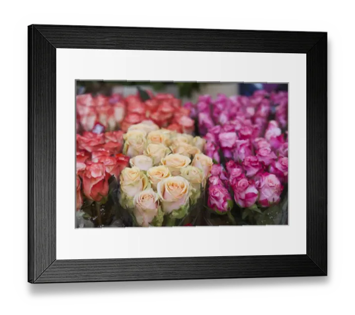 Framed Print : Denmark, Zealand, Copenhagen, Torvehallerne KPH, new outdoor food market, flowers Framed Print : Denmark, Zealand, Copenhagen, Torvehallerne KPH, new outdoor food market, flowers