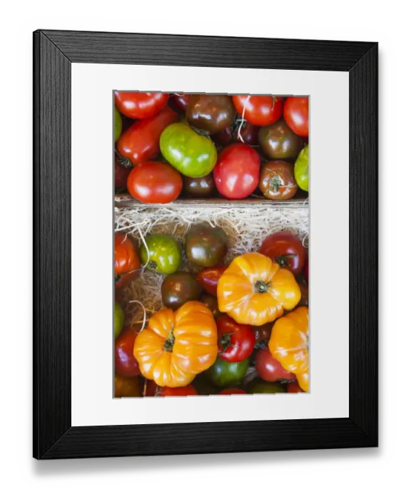 Framed Print : Denmark, Zealand, Copenhagen, Torvehallerne KPH, new outdoor food market, tomatoes Framed Print : Denmark, Zealand, Copenhagen, Torvehallerne KPH, new outdoor food market, tomatoes