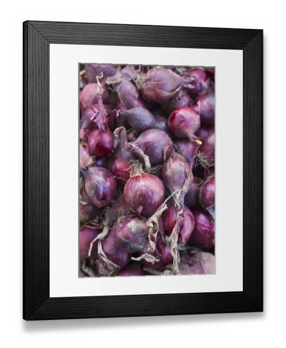 Framed Print : Denmark, Zealand, Copenhagen, Torvehallerne KPH, new outdoor food market, onions Framed Print : Denmark, Zealand, Copenhagen, Torvehallerne KPH, new outdoor food market, onions