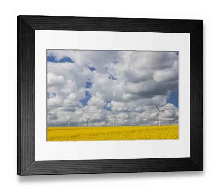 Framed Print : Denmark, Jutland, Odum, rapeseed field and windmills, springtime