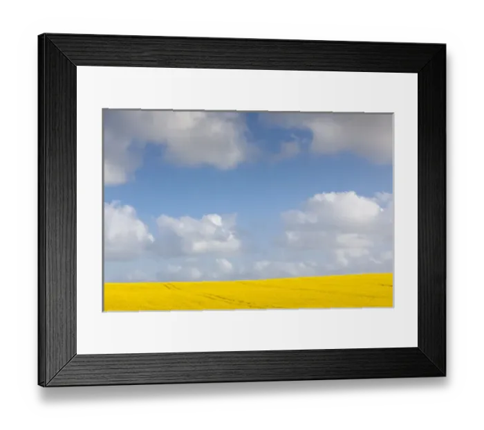 Framed Print : Denmark, Jutland, Tjele, rapeseed field, springtime