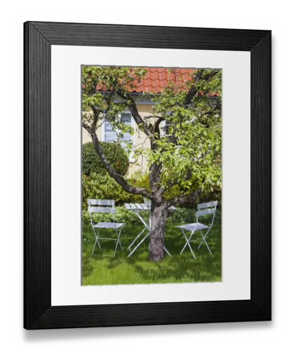 Framed Print : Denmark, Jutland, Skagen, garden chairs