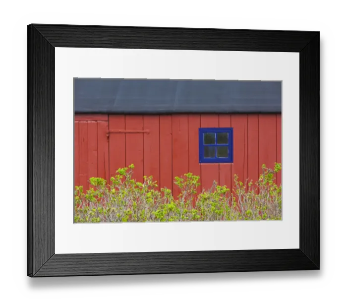 Framed Print : Denmark, Jutland, Gamle Skagen, Old Skagen, red house detail Framed Print : Denmark, Jutland, Gamle Skagen, Old Skagen, red house detail