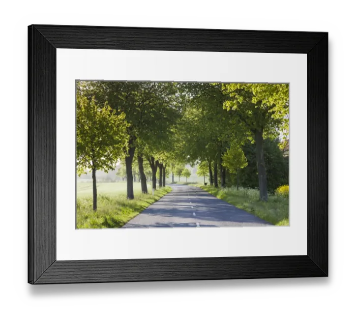 Framed Print : Denmark, Mon, Magleby, country road Framed Print : Denmark, Mon, Magleby, country road