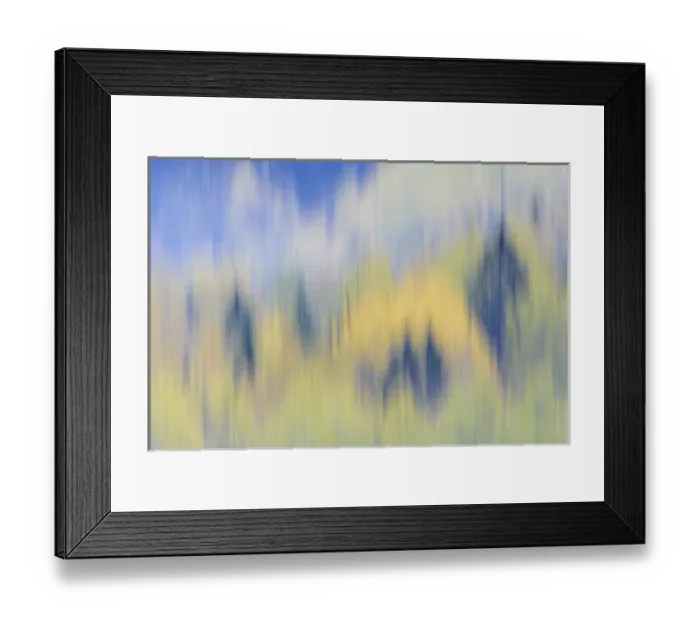 Framed Print : Finland, Nuuksio National Park. Abstract of fall color of spruce and hemlock trees Framed Print : Finland, Nuuksio National Park. Abstract of fall color of spruce and hemlock trees