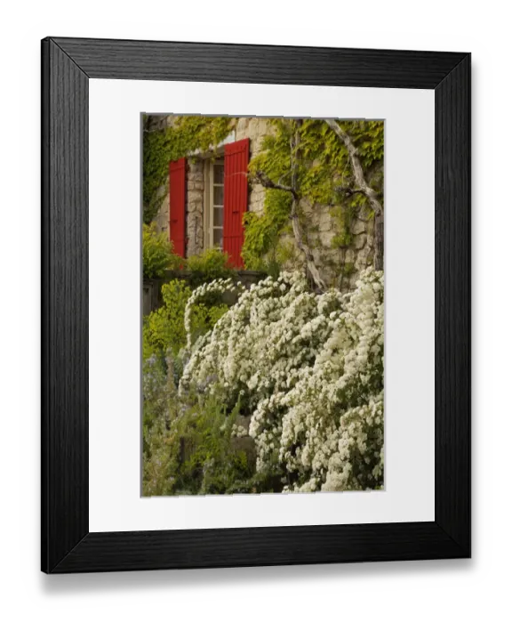 Framed Print : Windows in French Villa in provence region of southern France